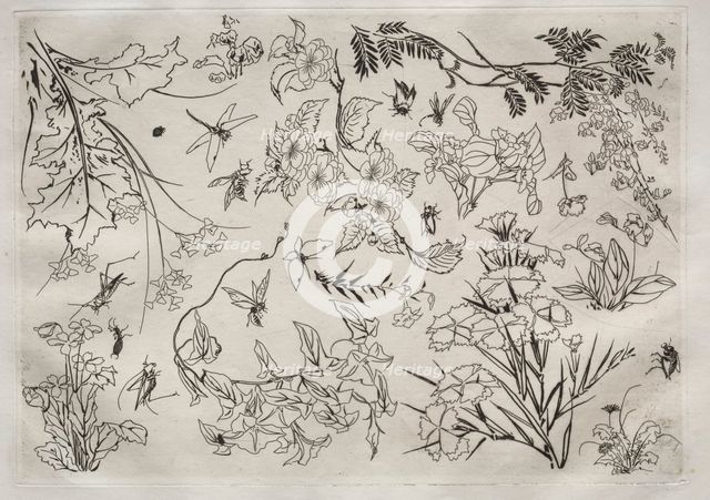 Dinner Service (Rousseau service): Flowers (no. 22), 1866. Creator: Félix Bracquemond (French, 1833-1914).