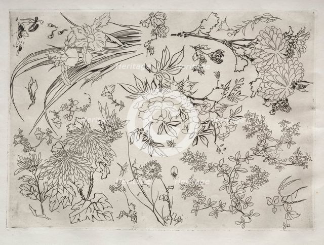 Dinner Service (Rousseau service): Flowers (no. 23), 1866. Creator: Félix Bracquemond (French, 1833-1914).