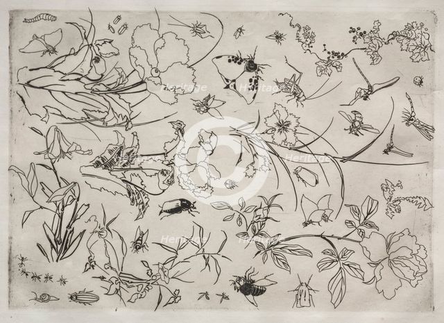 Dinner Service (Rousseau service): Flowers and Insects (no. 15), 1866. Creator: Félix Bracquemond (French, 1833-1914).
