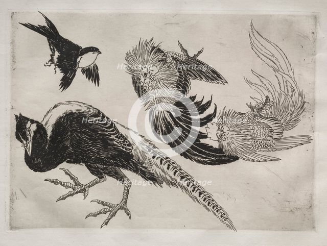 Dinner Service (Rousseau service): Pheasants and bird (no. 18), 1866. Creator: Félix Bracquemond (French, 1833-1914).