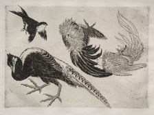 Dinner Service (Rousseau service): Pheasants and bird (no. 18), 1866. Creator: Félix Bracquemond (French, 1833-1914)