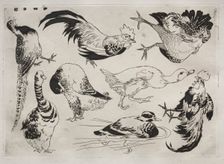 Dinner Service (Rousseau service): Roosters, ducks, etc. (no. 13), 1866. Creator: Félix Bracquemond (French, 1833-1914)