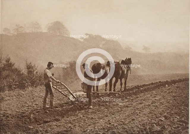 Dinnertime, between 1889 and 1891. Creator: Frank Meadow Sutcliffe.