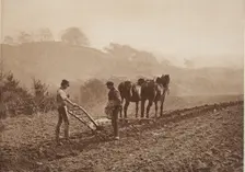 Dinnertime, between 1889 and 1891. Creator: Frank Meadow Sutcliffe