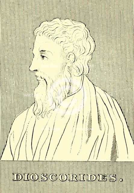 'Dioscorides', (c40-90 AD), 1830. Creator: Unknown.
