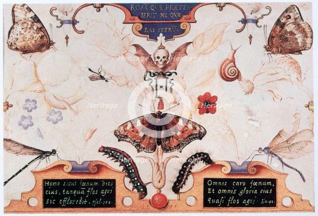 Diptych with flowers and insects, 1591.  Artist: Joris Hoefnagel