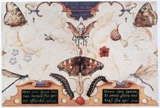 Diptych with flowers and insects, 1591. Artist: Joris Hoefnagel