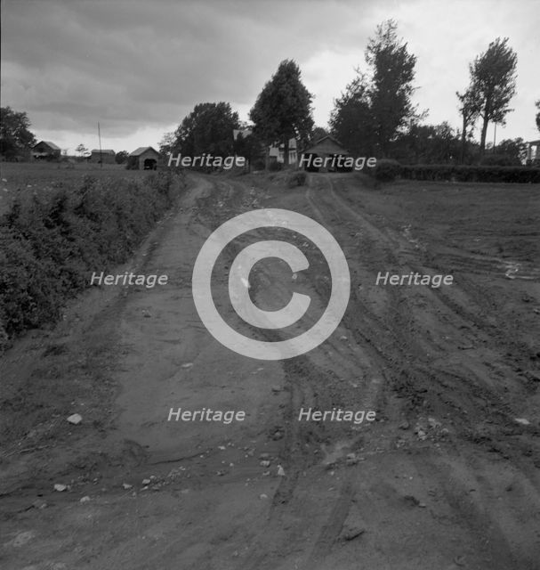Dirt road, earth is red-colored clay mud, Granville County, North Carolina, 1939. Creator: Dorothea Lange.