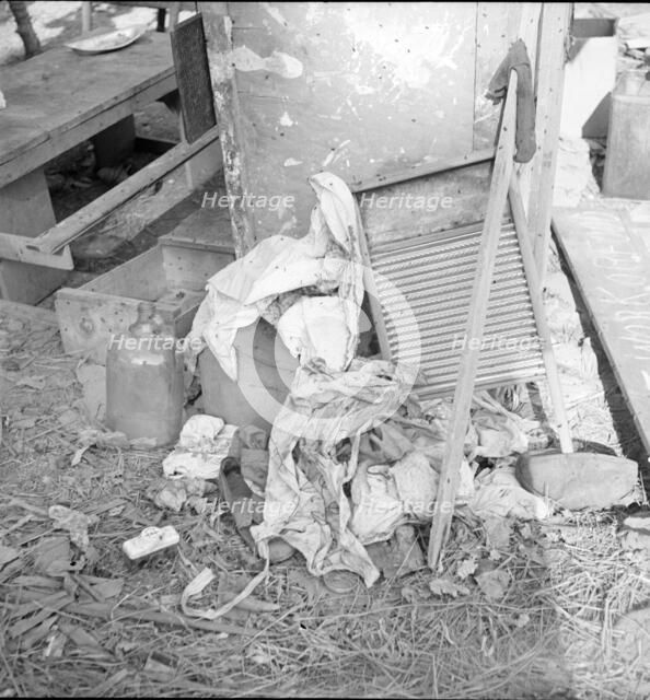 Dirty clothes and flies, American River camp, near Sacramento, California, 1936. Creator: Dorothea Lange.