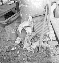 Dirty clothes and flies, American River camp, near Sacramento, California, 1936. Creator: Dorothea Lange