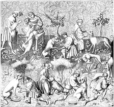 Diseases of dogs and their cures, 14th century (1849)