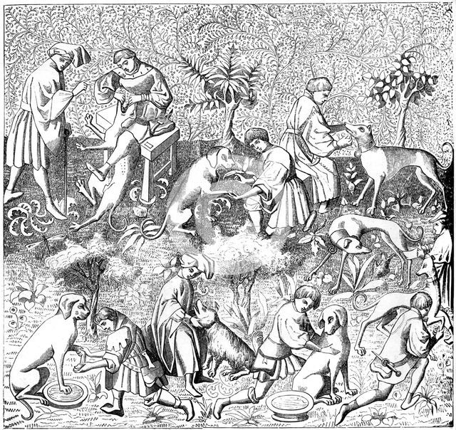 Diseases of dogs and their cures, 14th century (1849). Artist: Unknown