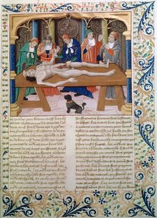 Dissection, late 15th century
