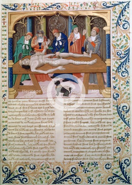 Dissection, late 15th century. Artist: Unknown