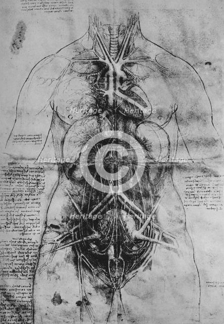 'Dissection of the Principal Organs of a Woman', c1480 (1945). Artist: Leonardo da Vinci.