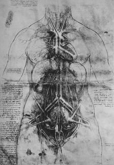 Dissection of the Principal Organs of a Woman c1480 (1945). Artist: Leonardo da Vinci