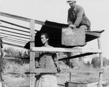Dispossessed Arkansas farmers, Bakersfield, California, 1935. Creator: Dorothea Lange