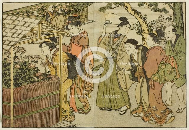 Display of Chrysanthemums, from the illustrated book "Picture Book: Flowers of..., New Year, 1801. Creator: Kitagawa Utamaro.