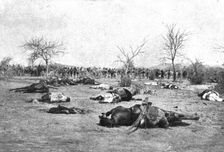 Distant Fronts, At Ouaddai; Silian cavalry shot down a few meters from the square..., 1917. Creator: Unknown