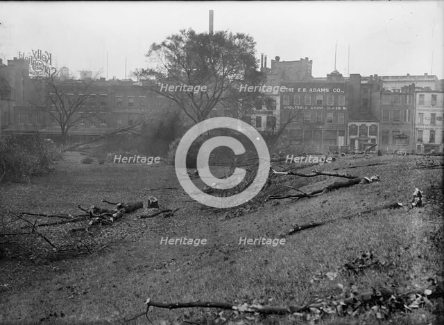 District of Columbia Parks - Cutting Trees On Mall Sites For War Buildings, 1917. Creator: Harris & Ewing.