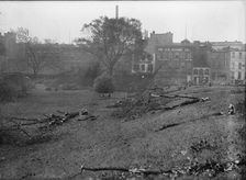 District of Columbia Parks - Cutting Trees On Mall Sites For War Buildings, 1917. Creator: Harris & Ewing