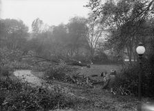 District of Columbia Parks - Cutting Trees On Mall Sites For War Buildings, 1917. Creator: Harris & Ewing