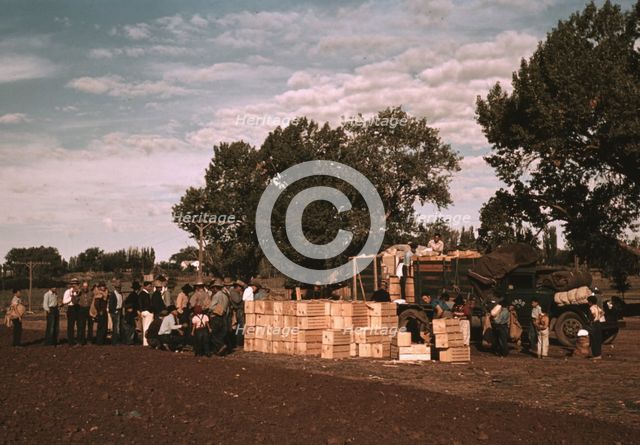 Distributing surplus commodities, St. Johns, Ariz., 1940. Creator: Russell Lee.