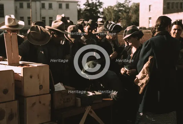 Distributing surplus commodities, St. Johns, Ariz., 1940. Creator: Russell Lee.