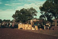 Distributing surplus commodities, St. Johns, Ariz., 1940. Creator: Russell Lee