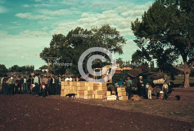 Distributing surplus commodities, St. Johns, Ariz., 1940. Creator: Russell Lee.