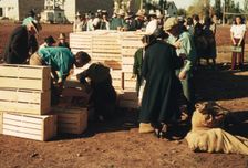 Distributing surplus commodities, St. Johns, Ariz., 1940. Creator: Russell Lee