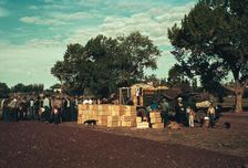 Distributing surplus commodities, St. Johns, Ariz., 1940. Creator: Russell Lee