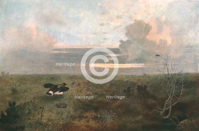 'Disturbed: A Plover Rising from Its Nest, 1879, (c1902).  Creator: Unknown.