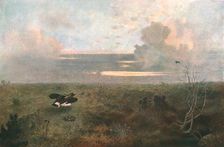 Disturbed: A Plover Rising from Its Nest, 1879, (c1902). Creator: Unknown