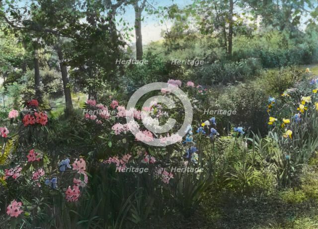 Dr. Charles William Richardson house, Chevy Chase, Washington, D.C., 1926. Creator: Frances Benjamin Johnston.