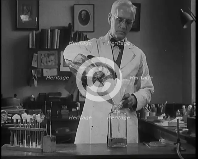 Dr Alexander Fleming, the Inventor of Penicillin, Experimenting in a Laboratory, 1929. Creator: British Pathe Ltd.