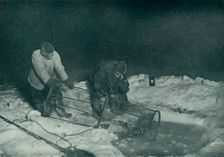 Dr. Atkinson and Clissold Hauling Up The Fish-Trap 28 May 1911, (1913). Artist: Herbert Ponting