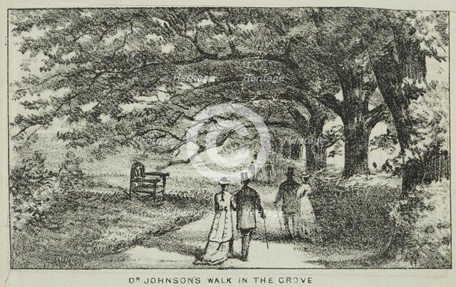 Dr Johnson's Walk in the Grove at Alexandra Palace, 19th century. Creator: Unknown.