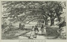 Dr Johnson's Walk in the Grove at Alexandra Palace, 19th century. Creator: Unknown