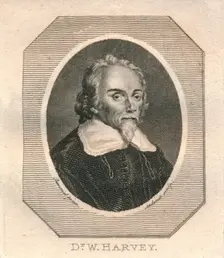 Dr. W. Harvey c1800. Creator: Philip Audinet