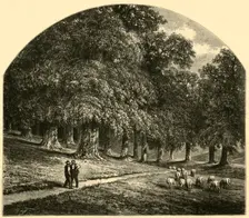 Druid-Hill Park 1874. Creator: John Filmer