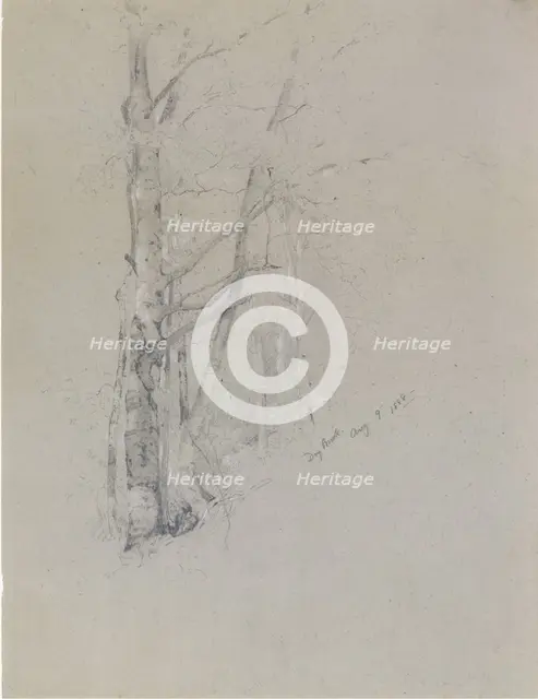 Dry Brook, 1888. Creator: Jervis McEntee.