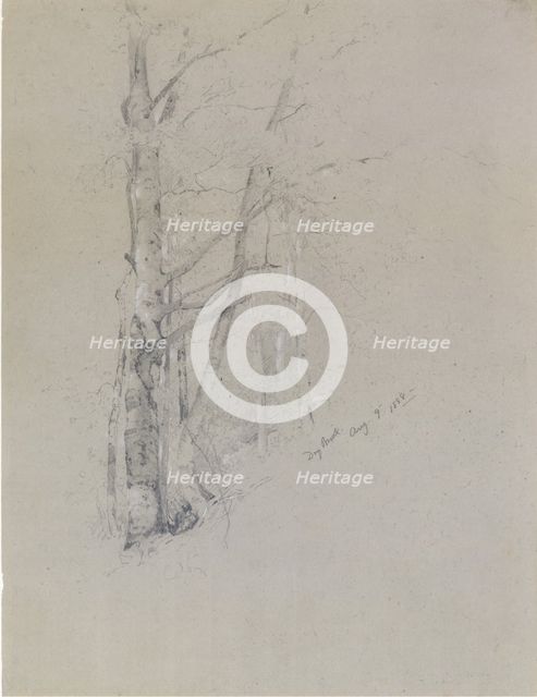 Dry Brook, 1888. Creator: Jervis McEntee.