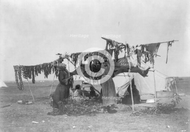 Drying meat, c1908. Creator: Edward Sheriff Curtis.