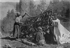 Drying meat-Flathead, c1910. Creator: Edward Sheriff Curtis