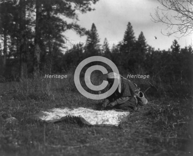 Drying Piahe-Yakima, 1909, c1910. Creator: Edward Sheriff Curtis.