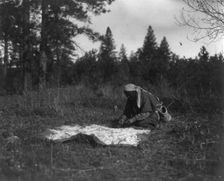 Drying Piahe-Yakima, 1909, c1910. Creator: Edward Sheriff Curtis