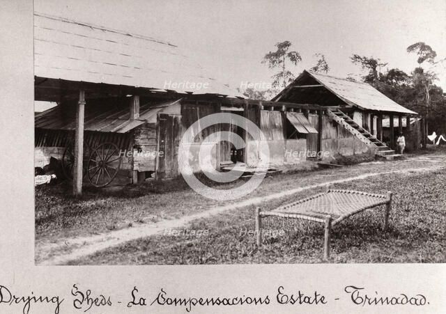 Drying sheds for cocoa, La Compensacions Estate, Trinidad, 1897. Artist: Unknown
