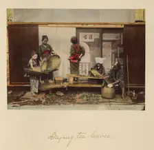 Drying Tea Leaves, about 1873-1883. Creator: Shinichi Suzuki I