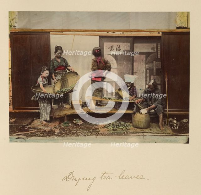 Drying Tea Leaves, about 1873-1883. Creator: Shinichi Suzuki I.